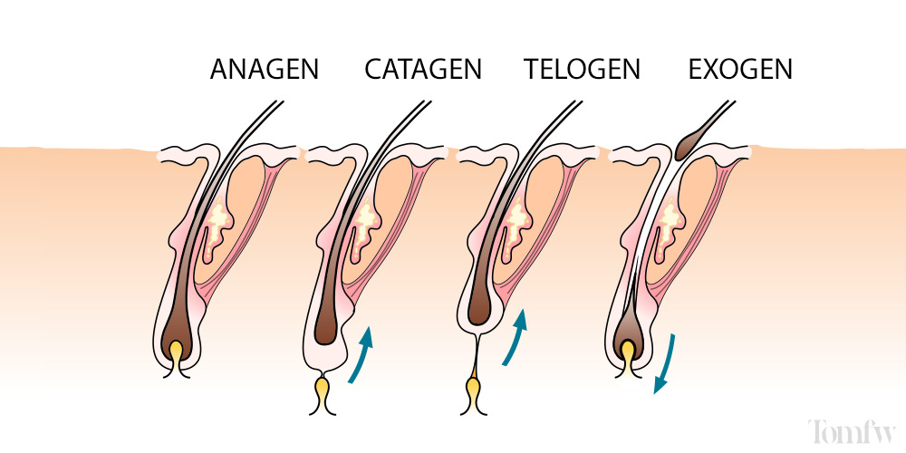 does hair grow back thicker