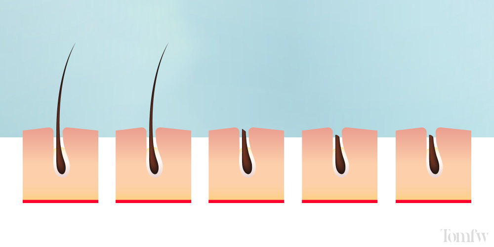 does shaving make hair grow more