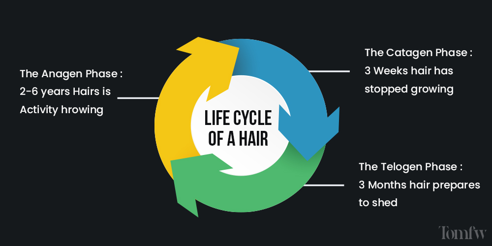 biotopic facial hair serum