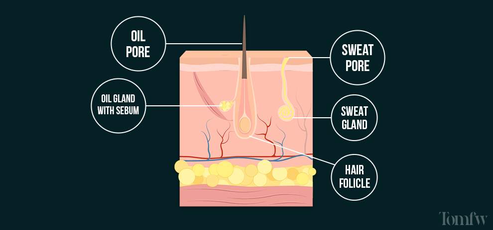 why are my pores so big