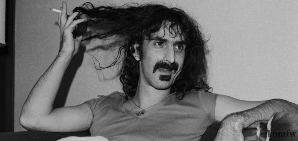 zappa beard style