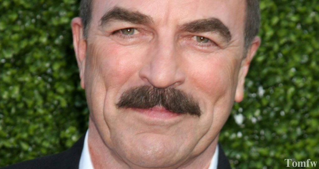 the chevron nustache